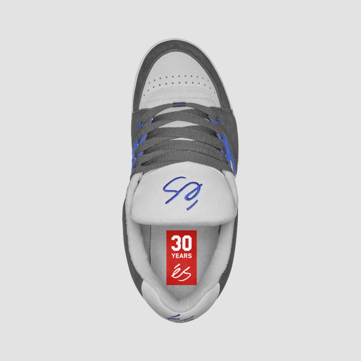 eS Accel OG Shoes - Navy/Royal