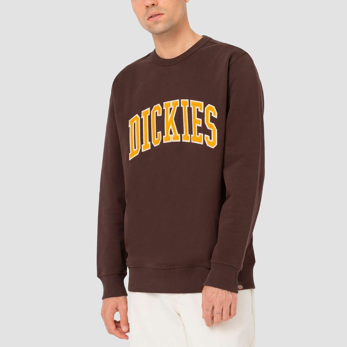 Dickies Aitkin Crew Sweat Java