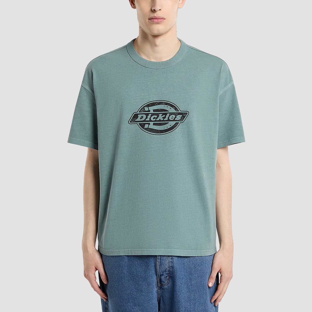 Dickies Plainville T-Shirt Stormy Sea