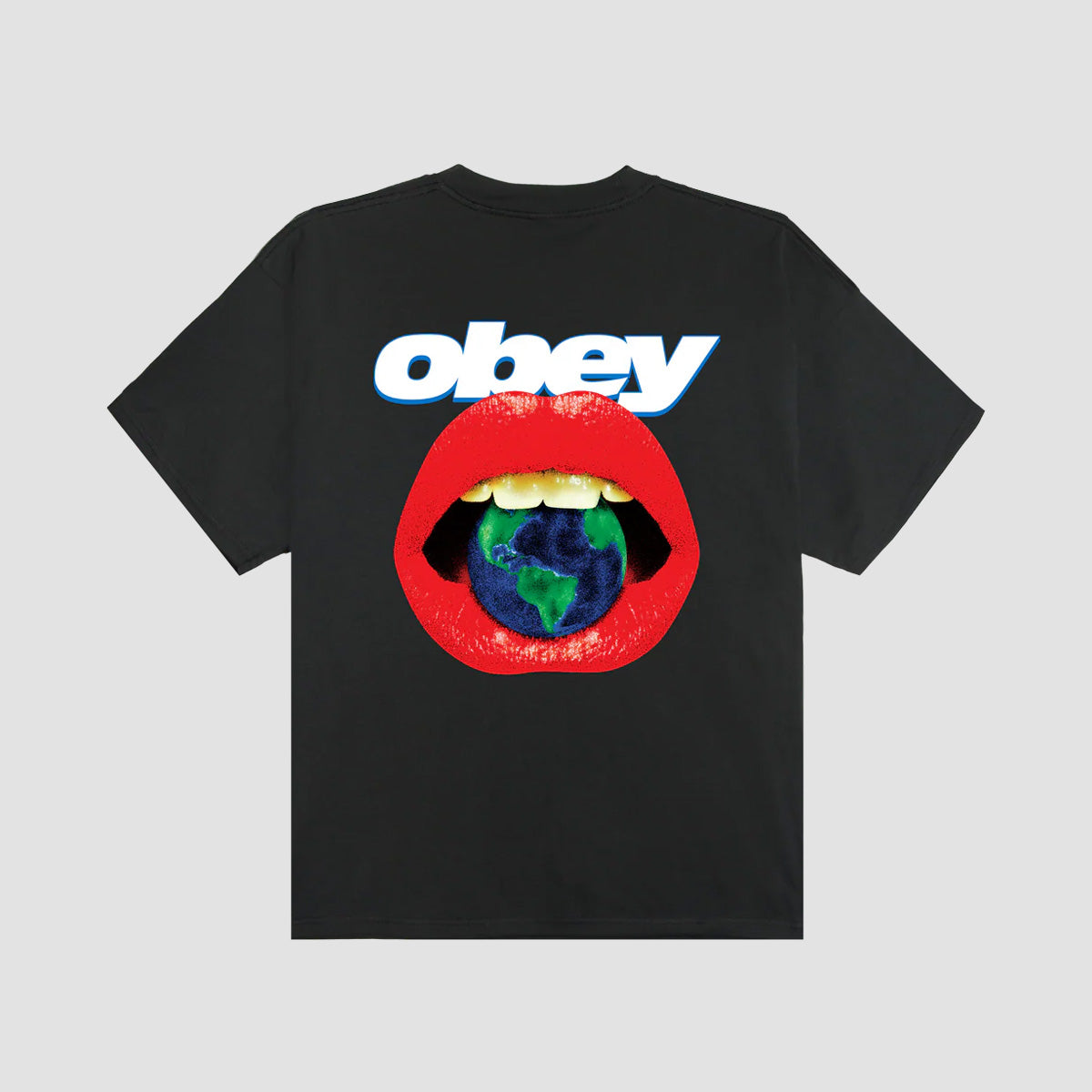 OBEY Lips Heavyweight T-Shirt Vintage Black