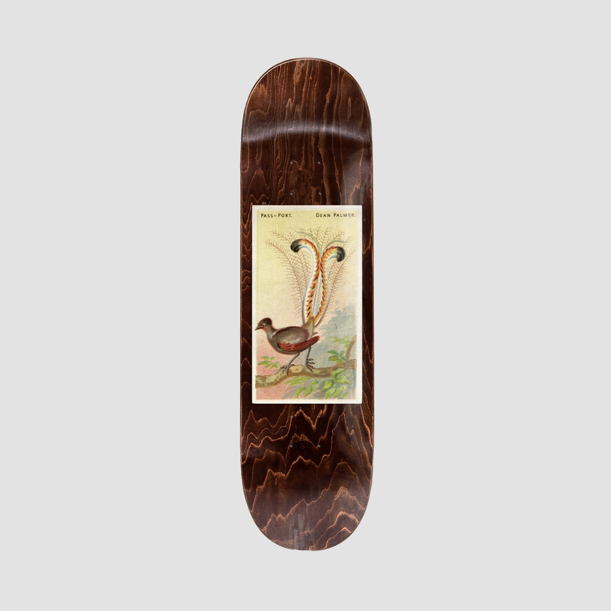 PASS-PORT Pro Series Dean Lyrebird Skateboard Deck - 8"
