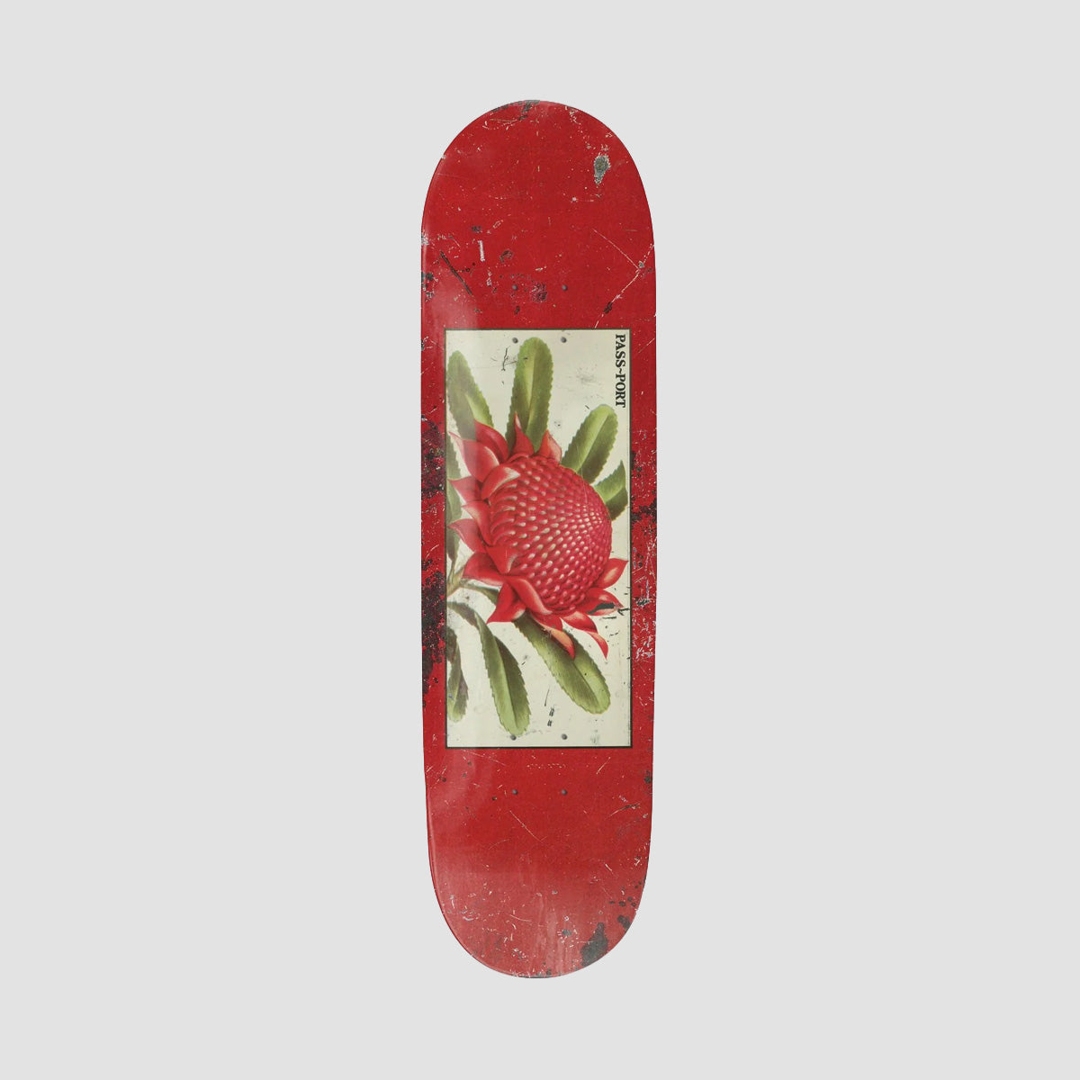 PASS-PORT Tin Floral Series Waratah Skateboard Deck Red - 7.875"
