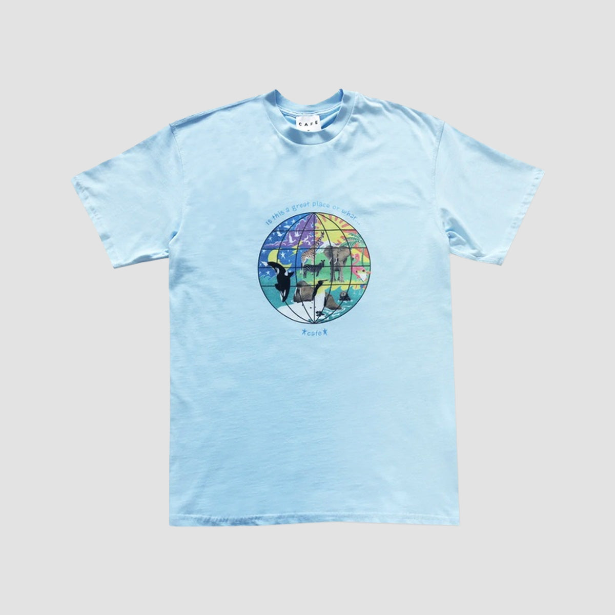 Skateboard Cafe Great Place T-Shirt Baby Blue