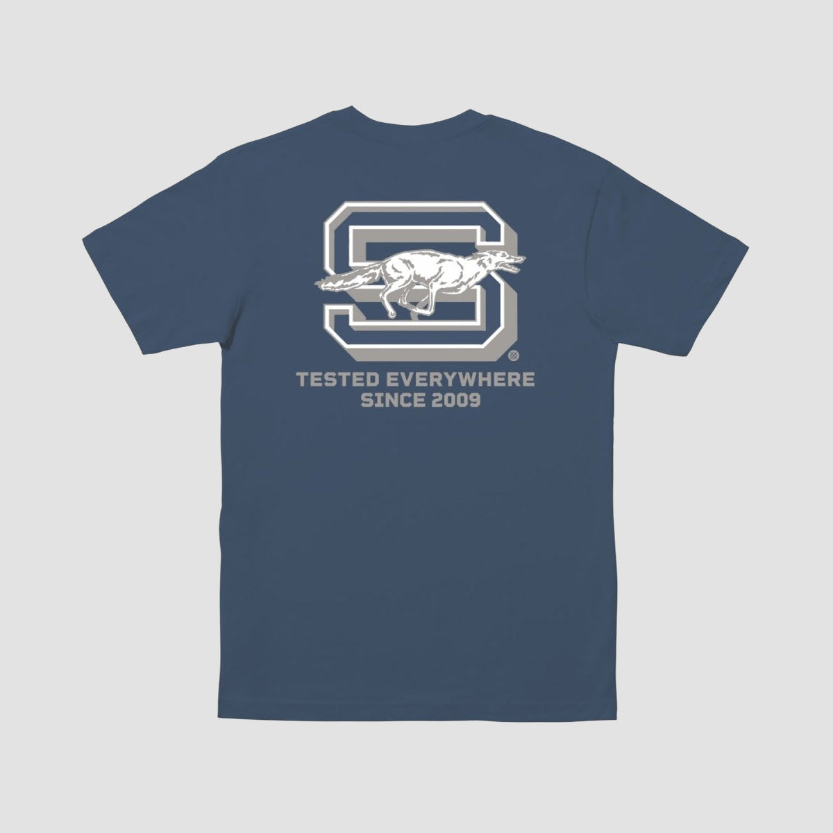 Stance Coyote T-Shirt Sea Blue