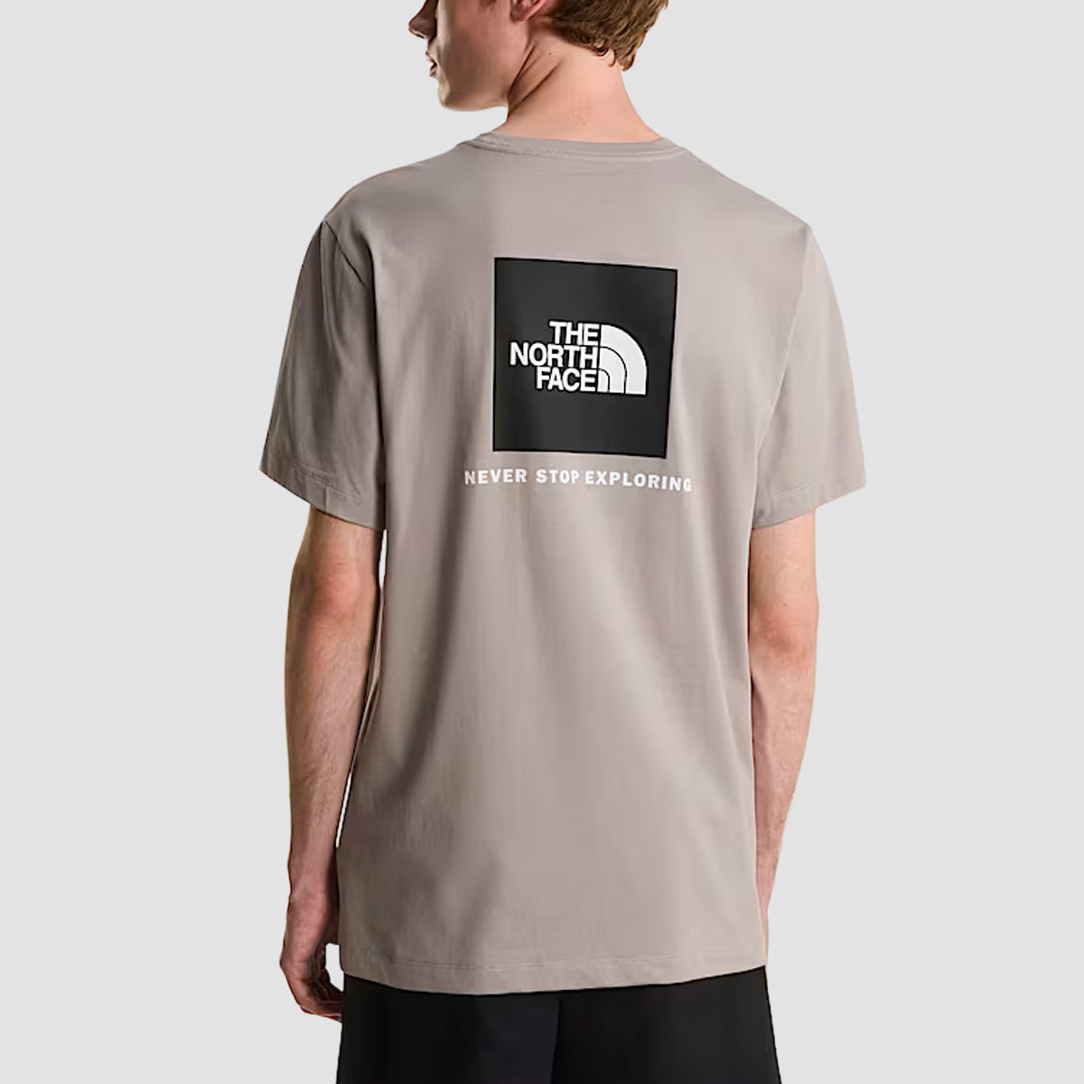The North Face Evolution Box NSE Regular T-Shirt Stone Slab