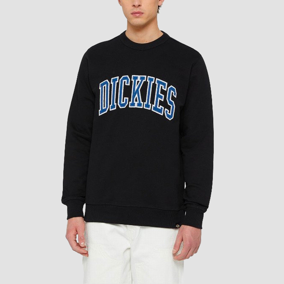 Dickies Aitkin Sweatshirt Black/Coronet Blue