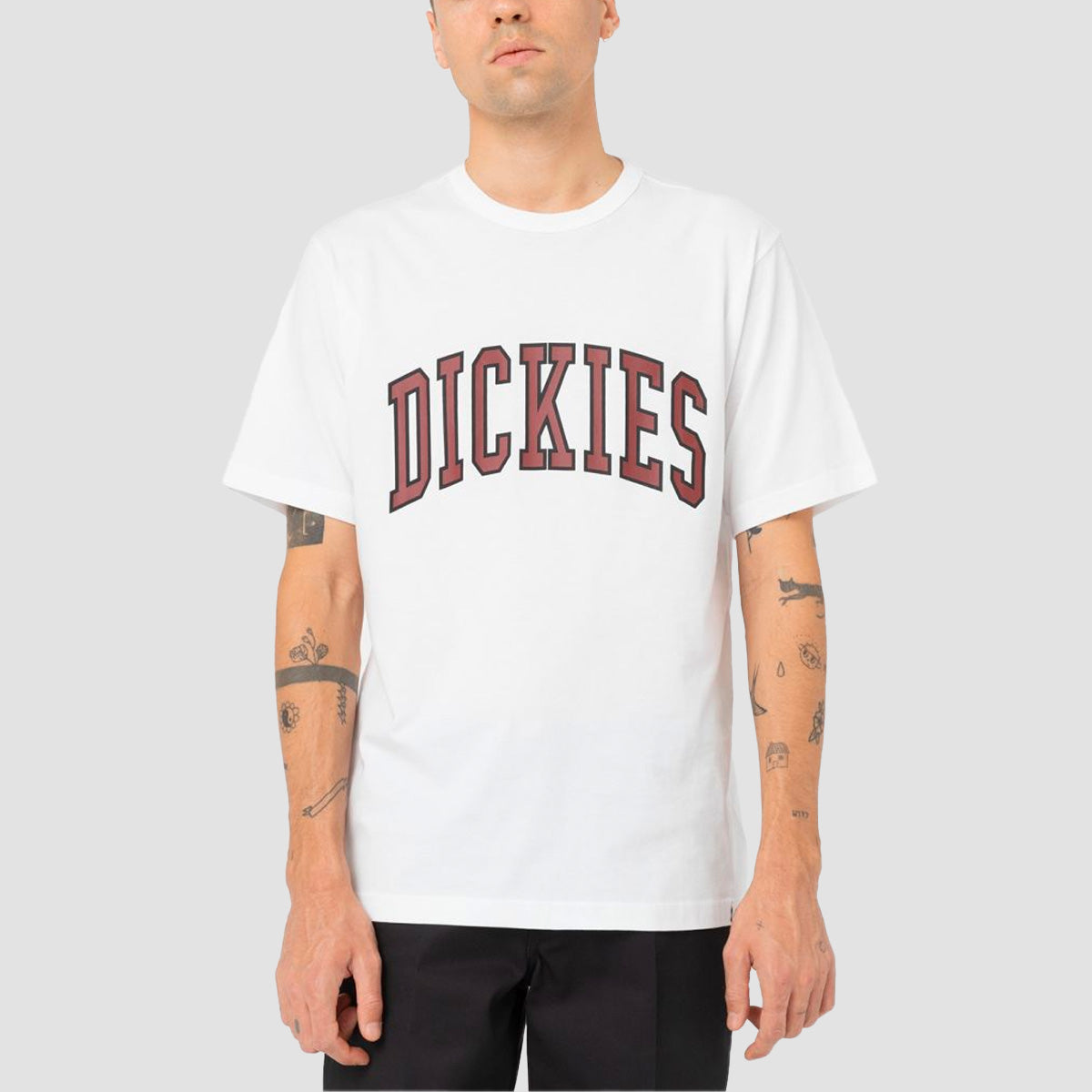 Dickies Aitkin T-Shirt White/Fired Brick