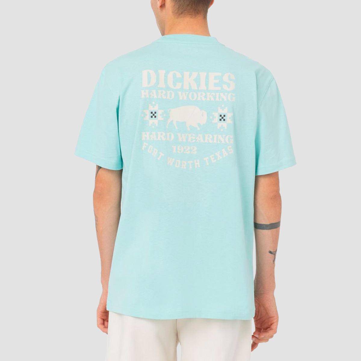 Dickies Hays T-Shirt Pastle Turquoise