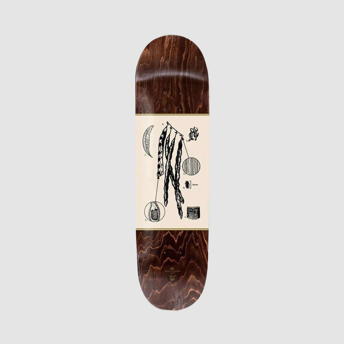 PASS-PORT Pro Series Callum Acacia Skateboard Deck - 8.25"