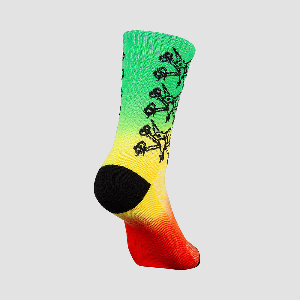 Powell Peralta Vato Rats Socks Rasta Fade