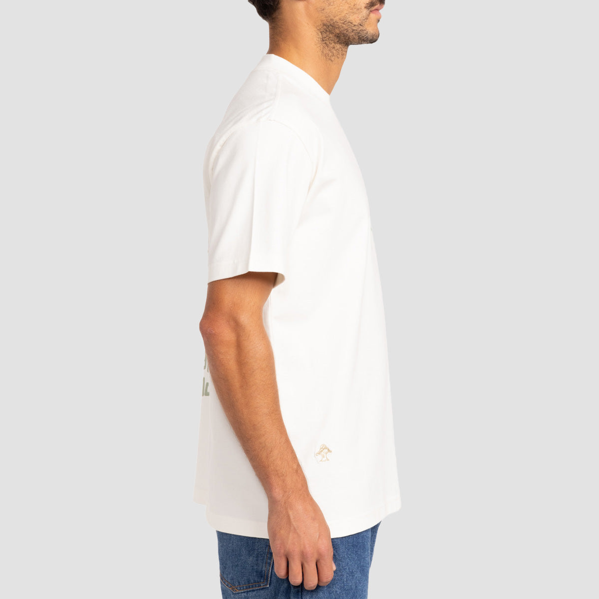 RVCA Scorched Lands T-Shirt Salt