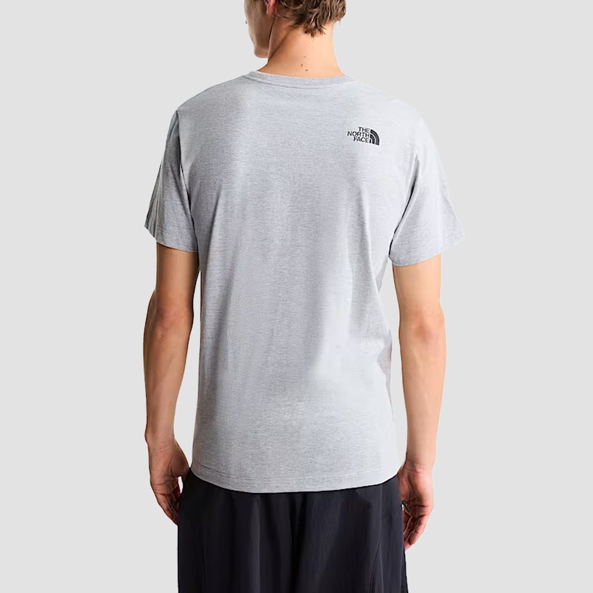 The North Face Evolution Box Half Dome Regular T-Shirt TNF Pale Grey Heather