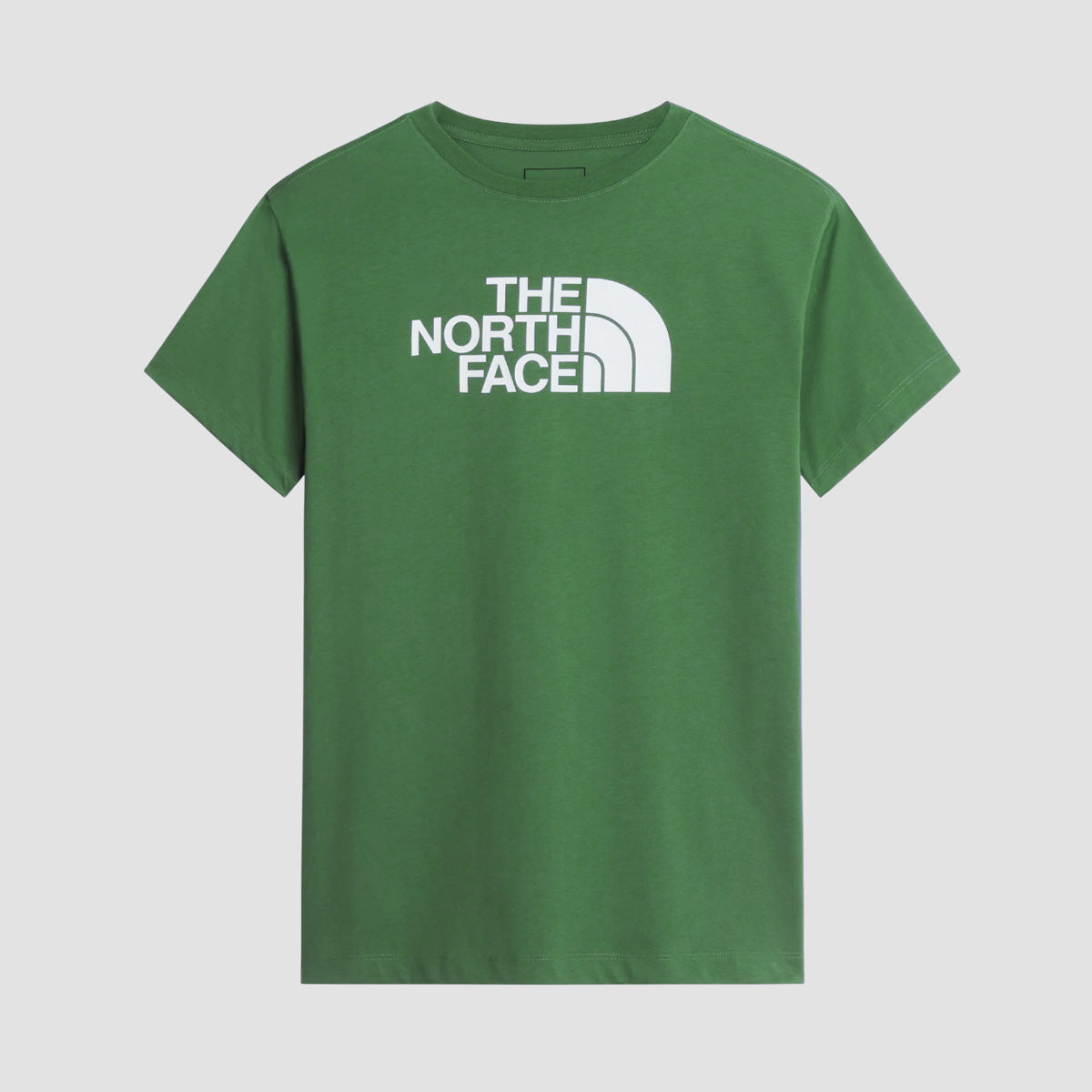The North Face Evolution Half Dome Regular T-Shirt Dimmed Algae