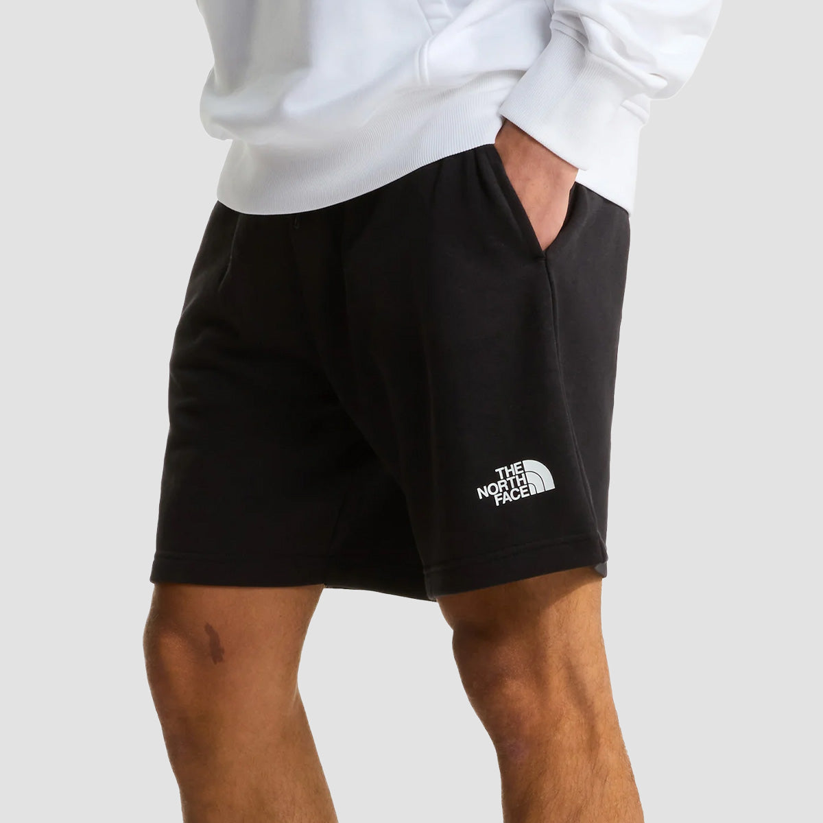 The North Face Simple Dome Light Regular Shorts TNF Black