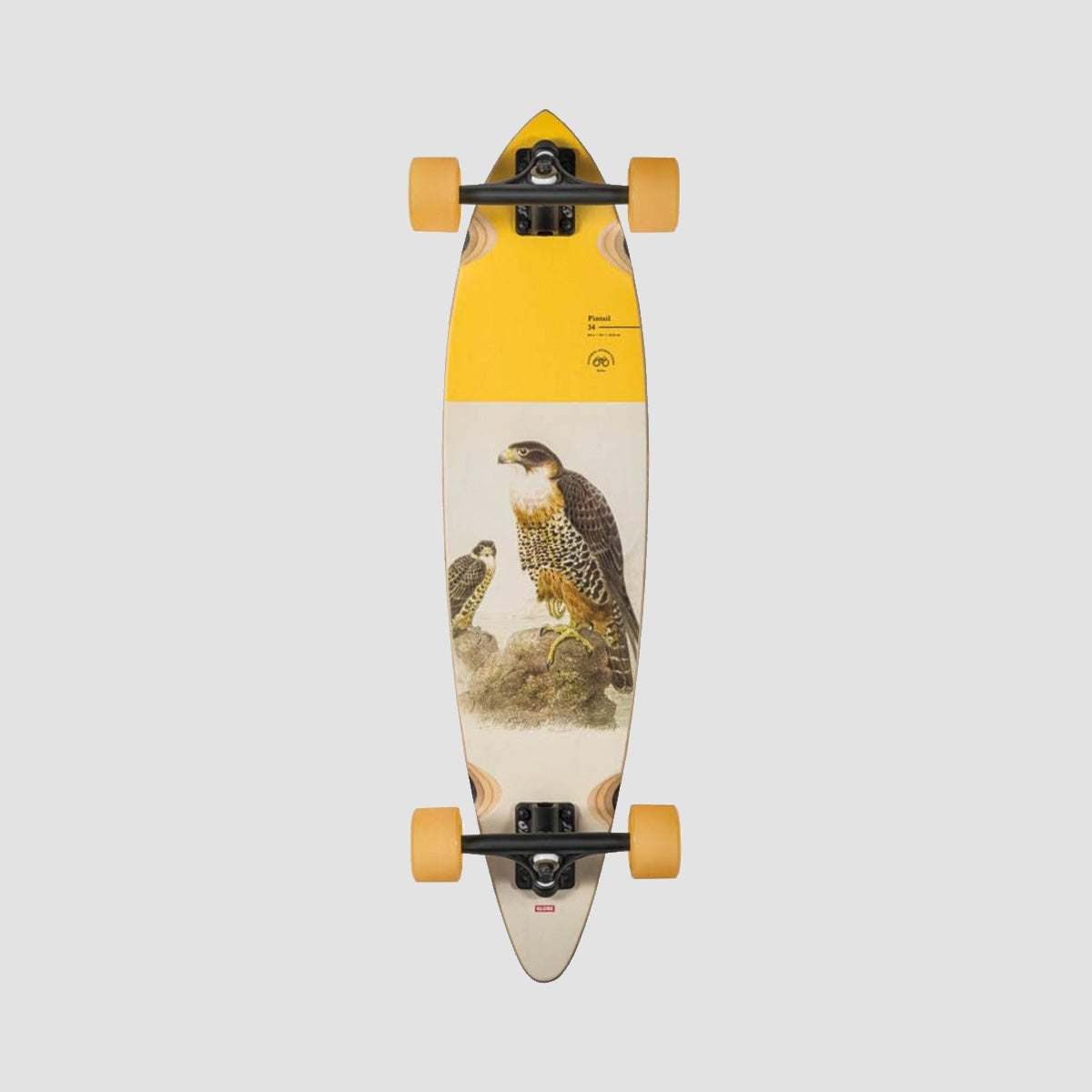 Globe Pintail Longboard Skateboard Falcon - 34"