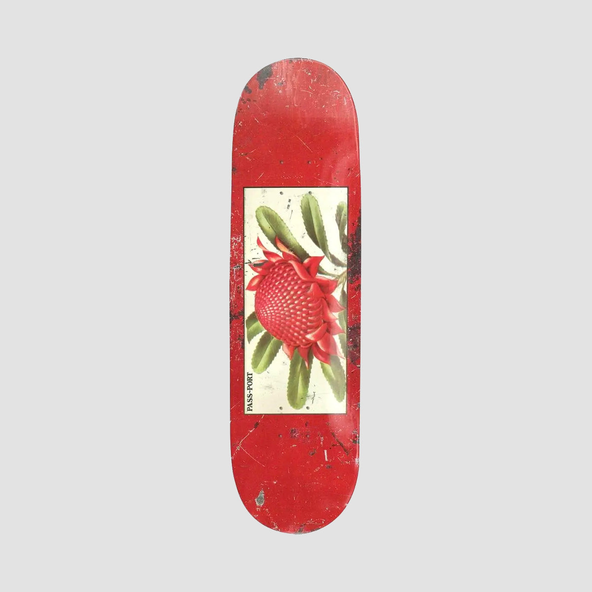 PASS-PORT Tin Floral Series Waratah Skateboard Deck Red - 8"